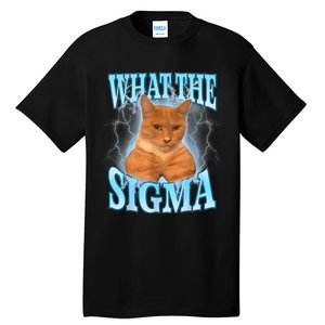 What The Sigma Meme Cat Erm What The Sigma Meme Cat Ironic Brainrot Tall T-Shirt