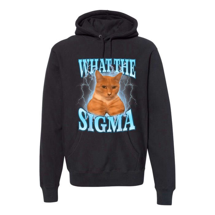 What The Sigma Meme Cat Erm What The Sigma Meme Cat Ironic Brainrot Premium Hoodie