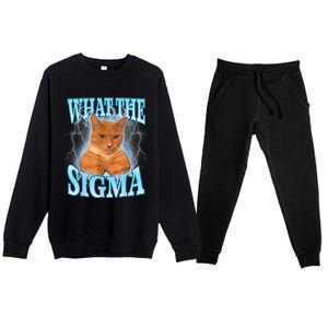 What The Sigma Meme Cat Erm What The Sigma Meme Cat Ironic Brainrot Premium Crewneck Sweatsuit Set