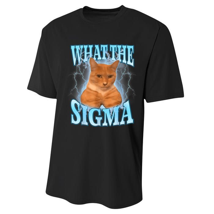 What The Sigma Meme Cat Erm What The Sigma Meme Cat Ironic Brainrot Performance Sprint T-Shirt