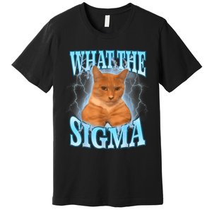 What The Sigma Meme Cat Erm What The Sigma Meme Cat Ironic Brainrot Premium T-Shirt