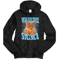 What The Sigma Meme Cat Erm What The Sigma Meme Cat Ironic Brainrot Tie Dye Hoodie