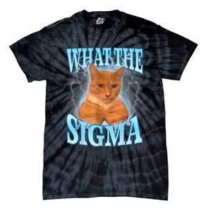 What The Sigma Meme Cat Erm What The Sigma Meme Cat Ironic Brainrot Tie-Dye T-Shirt