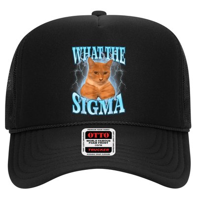 What The Sigma Meme Cat Erm What The Sigma Meme Cat Ironic Brainrot Trucker Hat