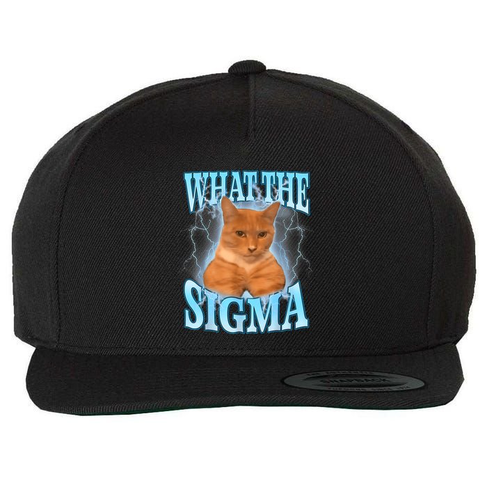 What The Sigma Meme Cat Erm What The Sigma Meme Cat Ironic Brainrot Wool Snapback Cap