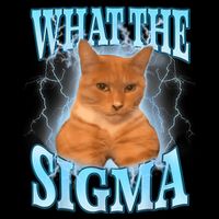 What The Sigma Meme Cat Erm What The Sigma Meme Cat Ironic Brainrot Wool Snapback Cap