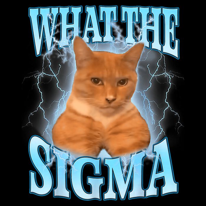 What The Sigma Meme Cat Erm What The Sigma Meme Cat Ironic Brainrot Wool Snapback Cap