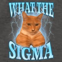 What The Sigma Meme Cat Erm What The Sigma Meme Cat Ironic Brainrot Vector Backpack