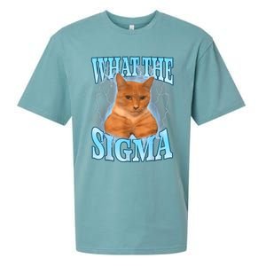 What The Sigma Meme Cat Erm What The Sigma Meme Cat Ironic Brainrot Sueded Cloud Jersey T-Shirt