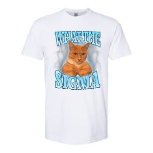 What The Sigma Meme Cat Erm What The Sigma Meme Cat Ironic Brainrot Softstyle CVC T-Shirt