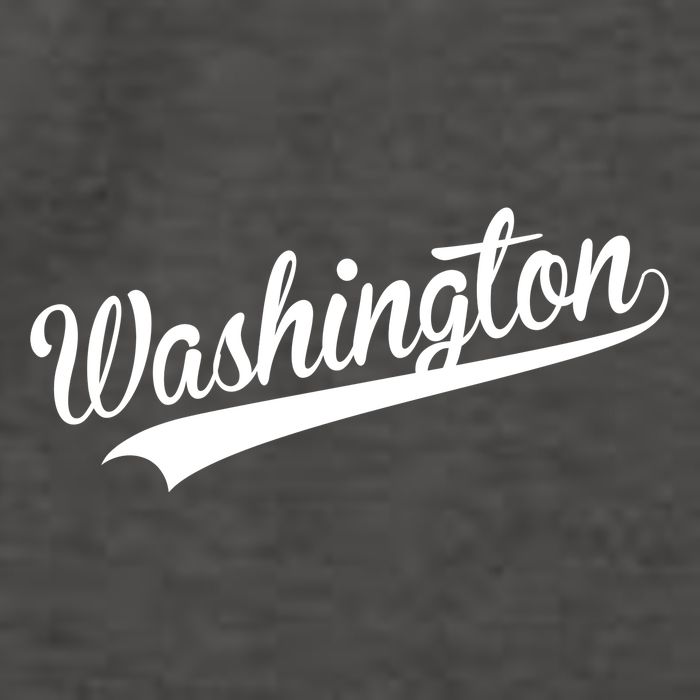 Washington Throwback Sports Fan Vector Backpack