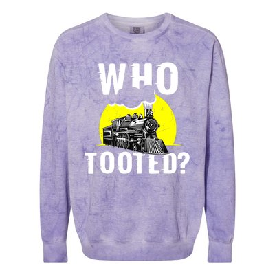 Who Tooted Train Lover Gift Model Railroad Conductor Colorblast Crewneck Sweatshirt