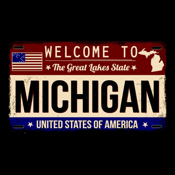 Welcome To The Great Lakes State USA License Plate Michigan Flatbill Hat