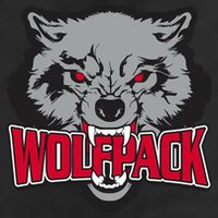 Wolfpack Team Adult Drive Performance Visor