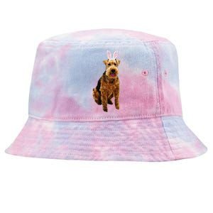 Welsh Terrier Wearing Easter Bunny Ears Dog Tie-Dyed Bucket Hat