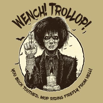Wench Trollop You Buck Toothed Mop Riding Firefly From Hell T-Shirt