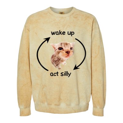 Wake Up Act Silly Cat Meme Colorblast Crewneck Sweatshirt