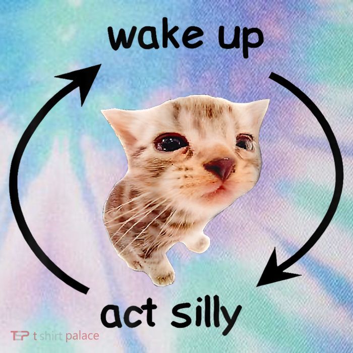 Wake Up Act Silly Cat Meme Legacy Tie Dye Trucker Hat