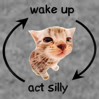 Wake Up Act Silly Cat Meme Tall Hoodie