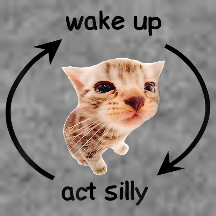Wake Up Act Silly Cat Meme Tall Hoodie