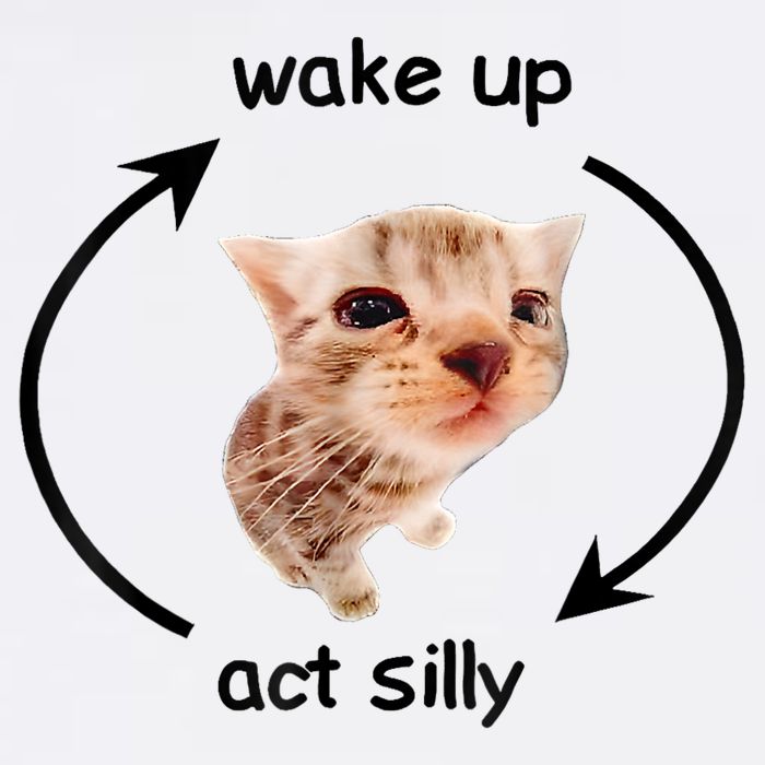 Wake Up Act Silly Cat Meme Sweatshirt