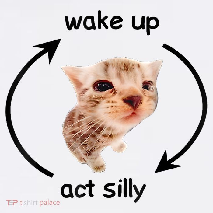 Wake Up Act Silly Cat Meme Toddler T-Shirt