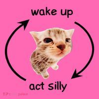 Wake Up Act Silly Cat Wake Up Act Silly Cat Stripe Pom Pom Beanie