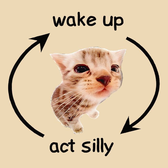 Wake Up Act Silly Cat Wake Up Act Silly Cat Drawstring Bag