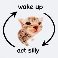 Wake Up Act Silly Cat Wake Up Act Silly Cat Sueded Cloud Jersey T-Shirt
