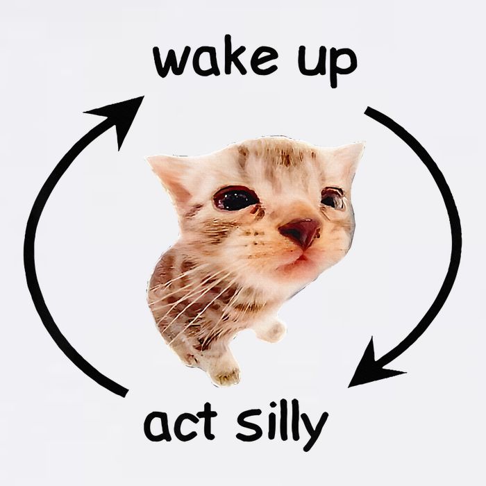 Wake Up Act Silly Cat Wake Up Act Silly Cat Button