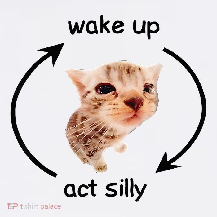 Wake Up Act Silly Cat Wake Up Act Silly Cat Youth Performance Sprint T-Shirt