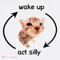 Wake Up Act Silly Cat Wake Up Act Silly Cat Short Acrylic Beanie
