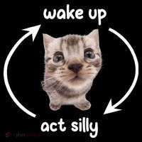Wake Up Act Silly Cat Wake Up Act Silly Cat Women T-Shirt