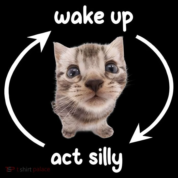 Wake Up Act Silly Cat Wake Up Act Silly Cat Women Tall T-Shirt