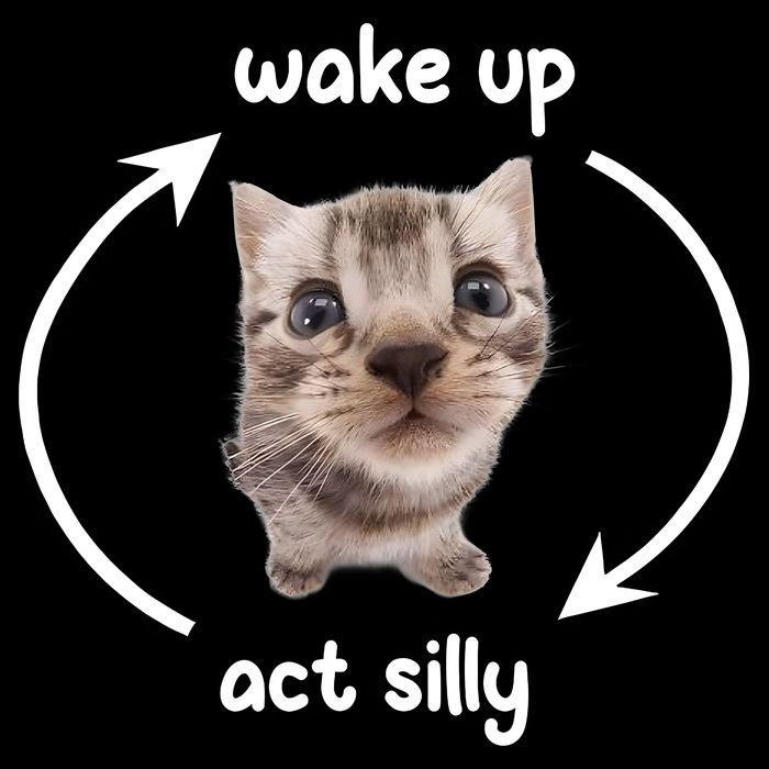 Wake Up Act Silly Cat Wake Up Act Silly Cat Women 7-Panel Snapback Hat