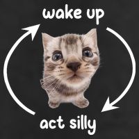 Wake Up Act Silly Cat Wake Up Act Silly Cat Women Adult Drive Performance Visor