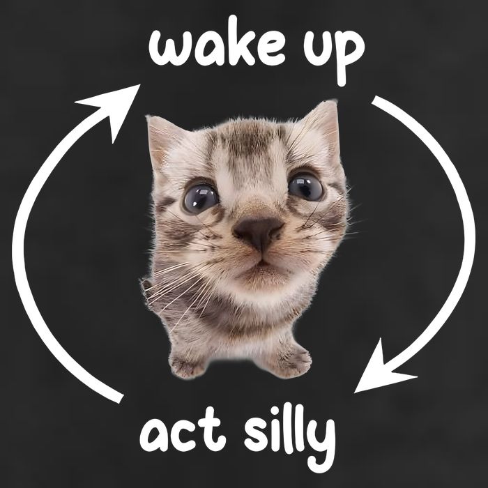 Wake Up Act Silly Cat Wake Up Act Silly Cat Women Adult Drive Performance Visor