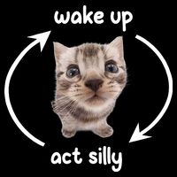 Wake Up Act Silly Cat Wake Up Act Silly Cat Women 16 in Basic Backpack