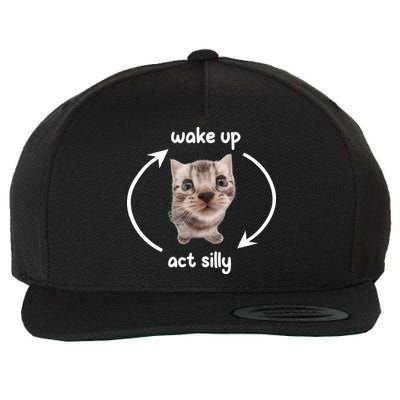Wake Up Act Silly Cat Wake Up Act Silly Cat Women Wool Snapback Cap
