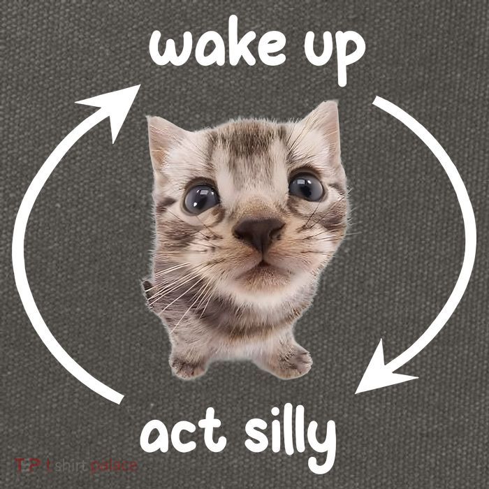 Wake Up Act Silly Cat Wake Up Act Silly Cat Women Cotton Canvas Backpack