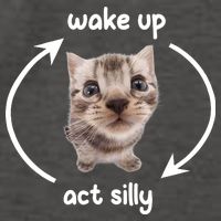 Wake Up Act Silly Cat Wake Up Act Silly Cat Women Vector Backpack