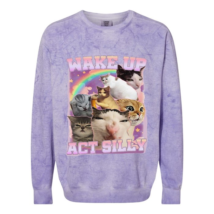 Wake Up Act Silly Funny Cat Meme Lover Cat Colorblast Crewneck Sweatshirt