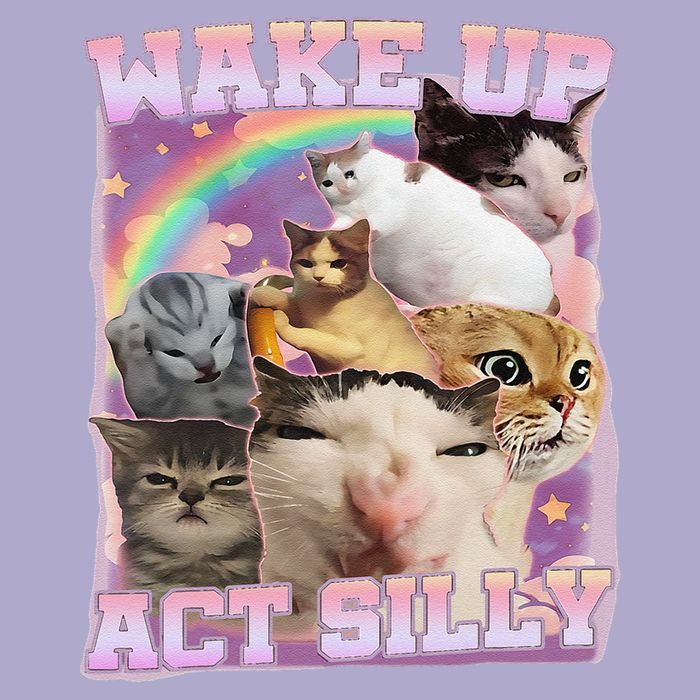 Wake Up Act Silly Funny Cat Meme Lover Cat Colorblast Crewneck Sweatshirt