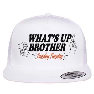 WhatS Up Brother Tuesday Tuesday Sketch Streamer Gamer Flat Bill Trucker Hat