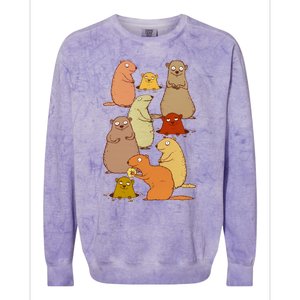 Wake Up Groundhogs! Colorblast Crewneck Sweatshirt