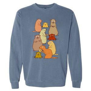 Wake Up Groundhogs! Garment-Dyed Sweatshirt