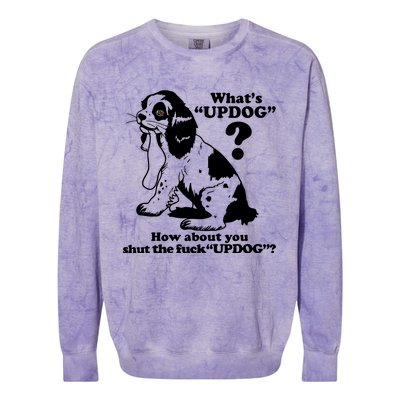 What's UpDog How About You Shut The Fck UpDog Funny Dog Lover Colorblast Crewneck Sweatshirt