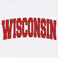 Wisconsin Usa State Wi Varsity Style Vintage Sports Cool Gift Button