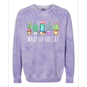 What Up Succa Succulent Cactus Aloe Plant Mom Gift Echeveria Gift Colorblast Crewneck Sweatshirt