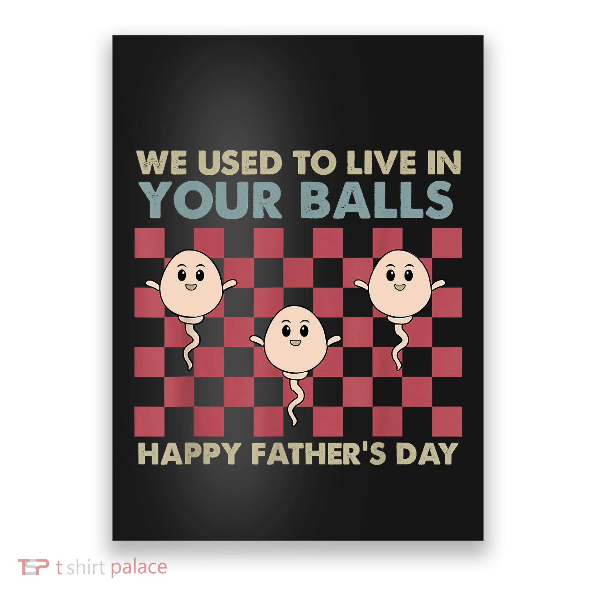We Used To Live In Your Balls Happy Fathers Day Funny Poster
